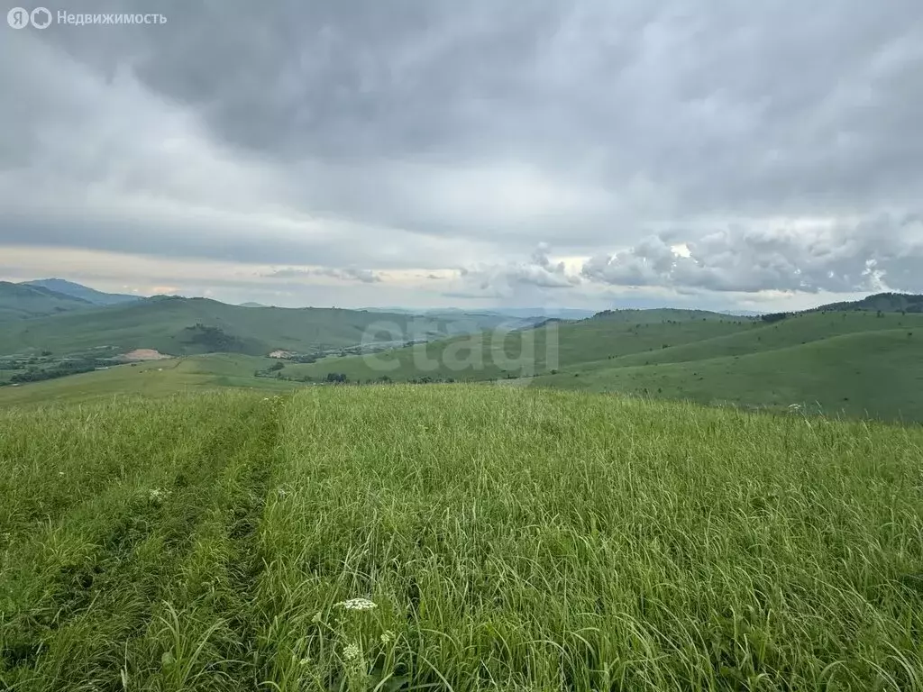 Участок в Алтайский район, ДНТ Жемчужина Алтая, Звездный бульвар (8.75 ... - Фото 1