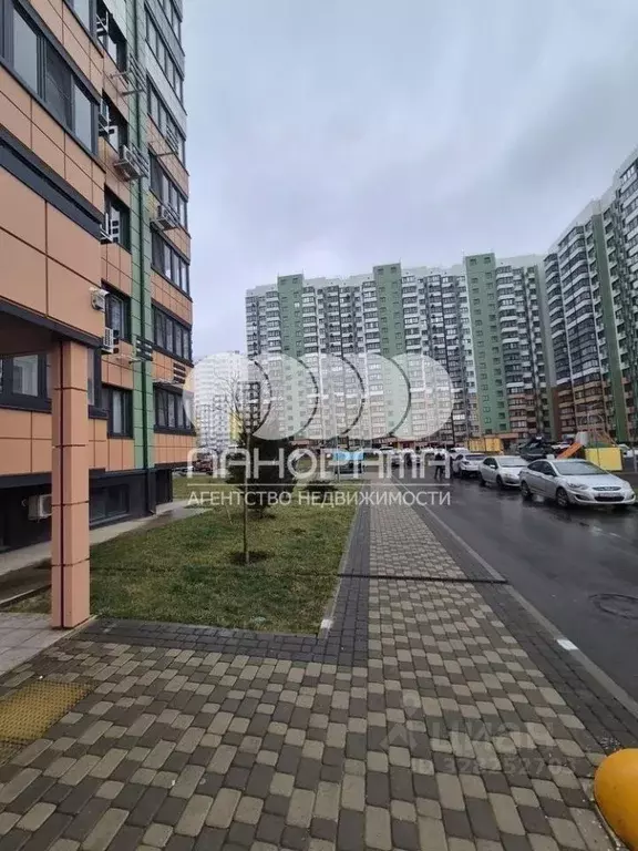 3-к кв. Краснодарский край, Анапа ул. Ленина, 243 (80.0 м) - Фото 2