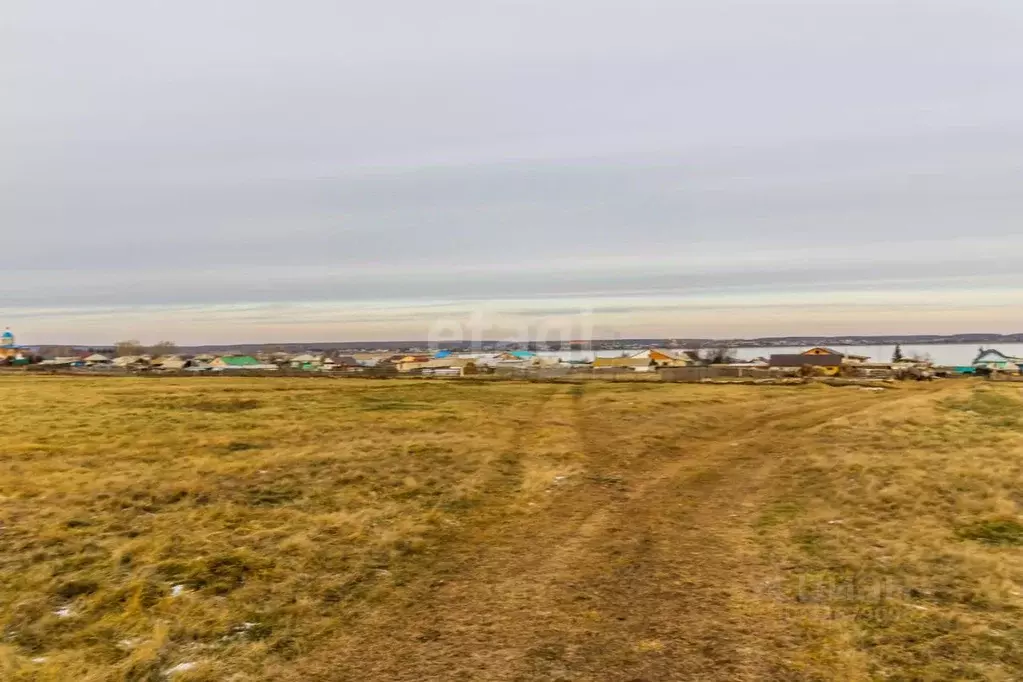 Участок в Челябинская область, Аргаяшский муниципальный округ, с. ... - Фото 2