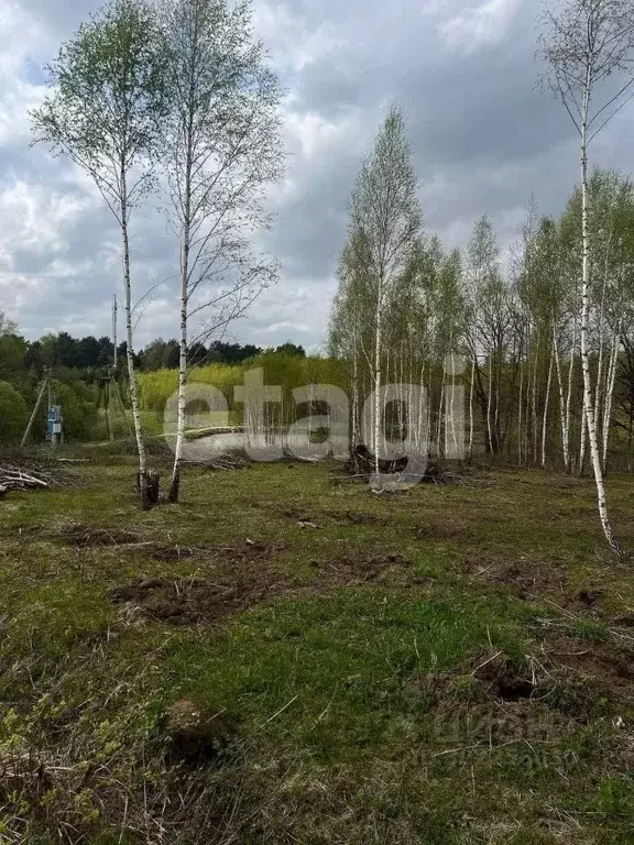 Участок в Тульская область, Кимовский район, Новольвовское ... - Фото 1