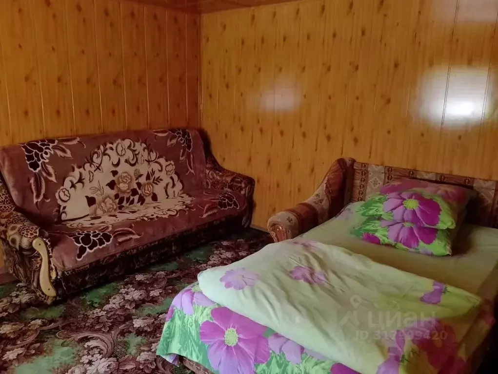 Дом в Алтай, Турочакский район, с. Артыбаш ул. Энергетиков, 4 (28 м) - Фото 0
