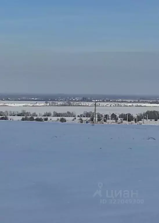 Участок в Саратовская область, с. Усть-Курдюм проезд Позитивный (7.0 ... - Фото 1