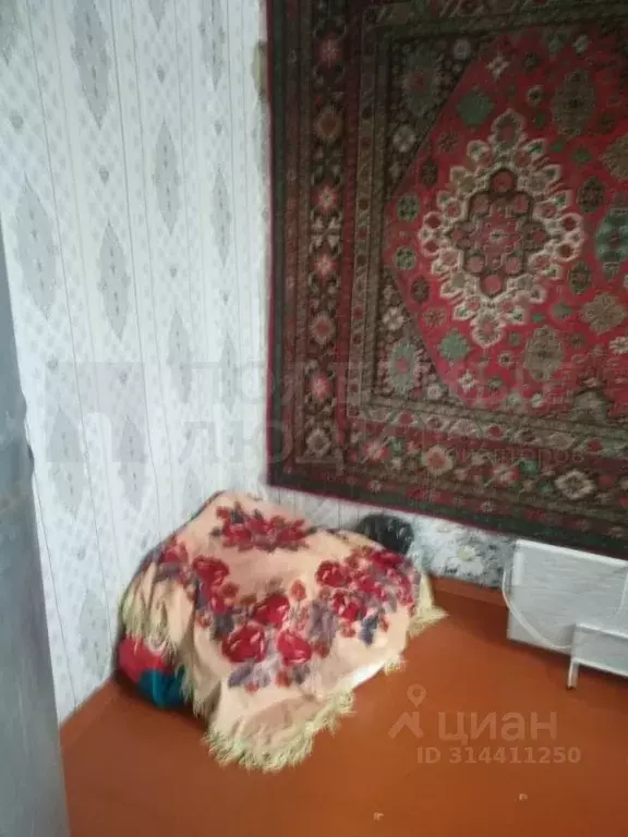 Дом в Новгородская область, Окуловка ул. Труда, 9 (30 м) - Фото 1