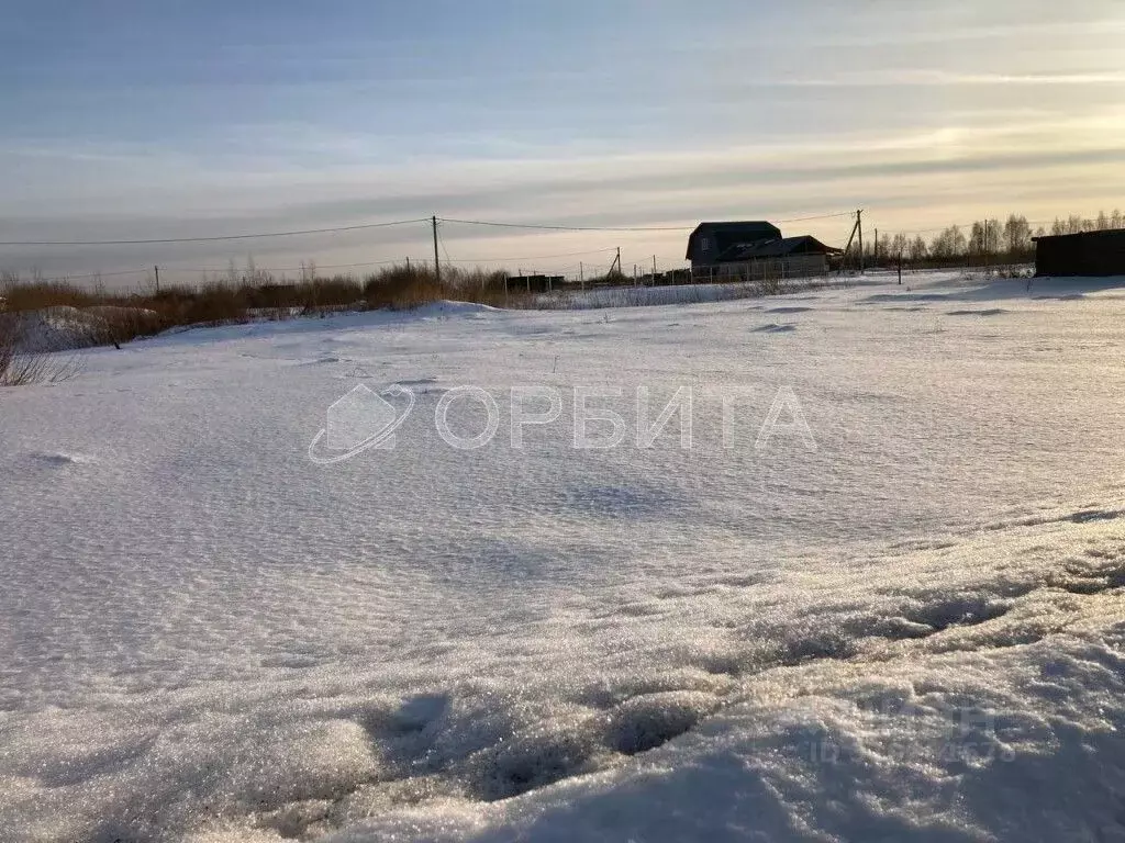 Участок в Тюменская область, Тюмень Царево садовое товарищество, ул. ... - Фото 0