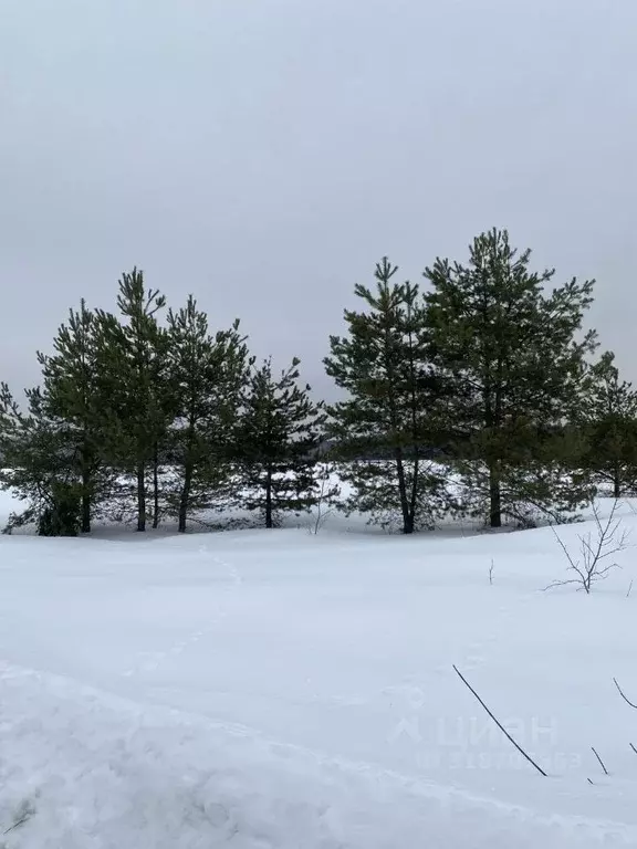 Участок в Московская область, Орехово-Зуевский городской округ, д. ... - Фото 0