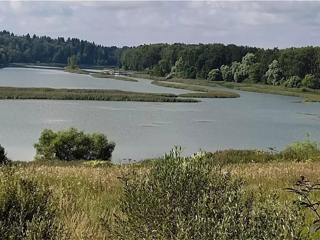 Участок в Московская область, Солнечногорск городской округ, д. ... - Фото 0