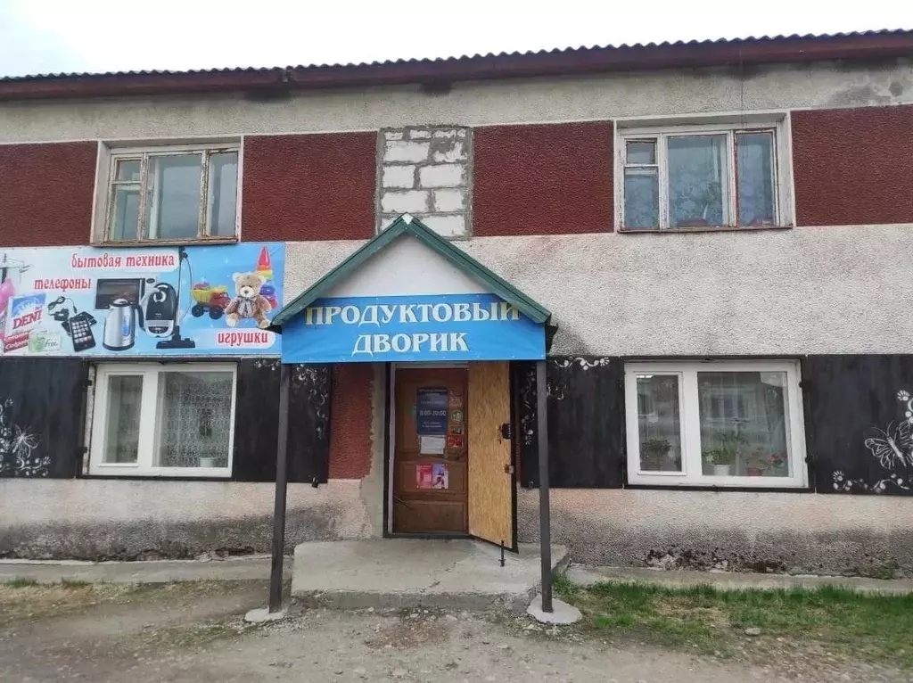 Торговая площадь в Алтайский край, Солтонский район, с. Карабинка  ... - Фото 0