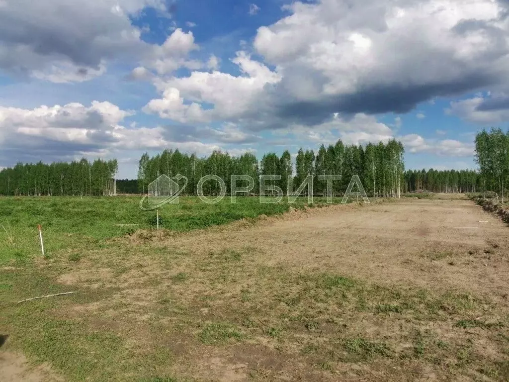 Участок в Тюменская область, Тюменский муниципальный округ, д. Чаплык  ... - Фото 2