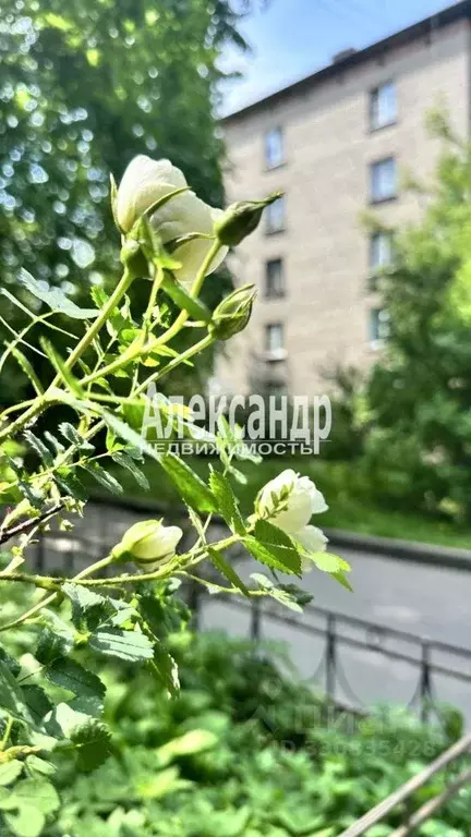 2-к кв. Санкт-Петербург ул. Маршала Говорова, 26 (42.0 м) - Фото 1