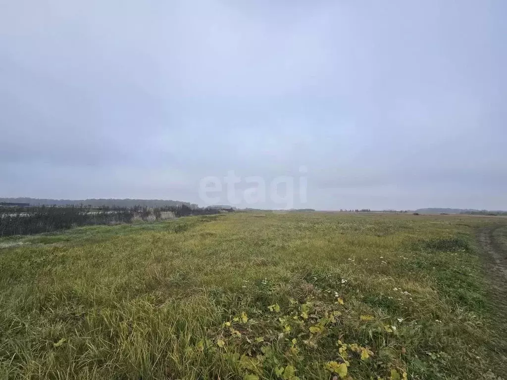 Участок в Московская область, Коломна городской округ, пос. Биорки  ... - Фото 2