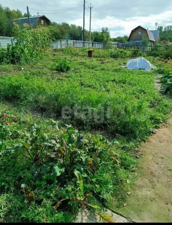 Участок в Новосибирская область, Новосибирский район, Барышевский ... - Фото 0