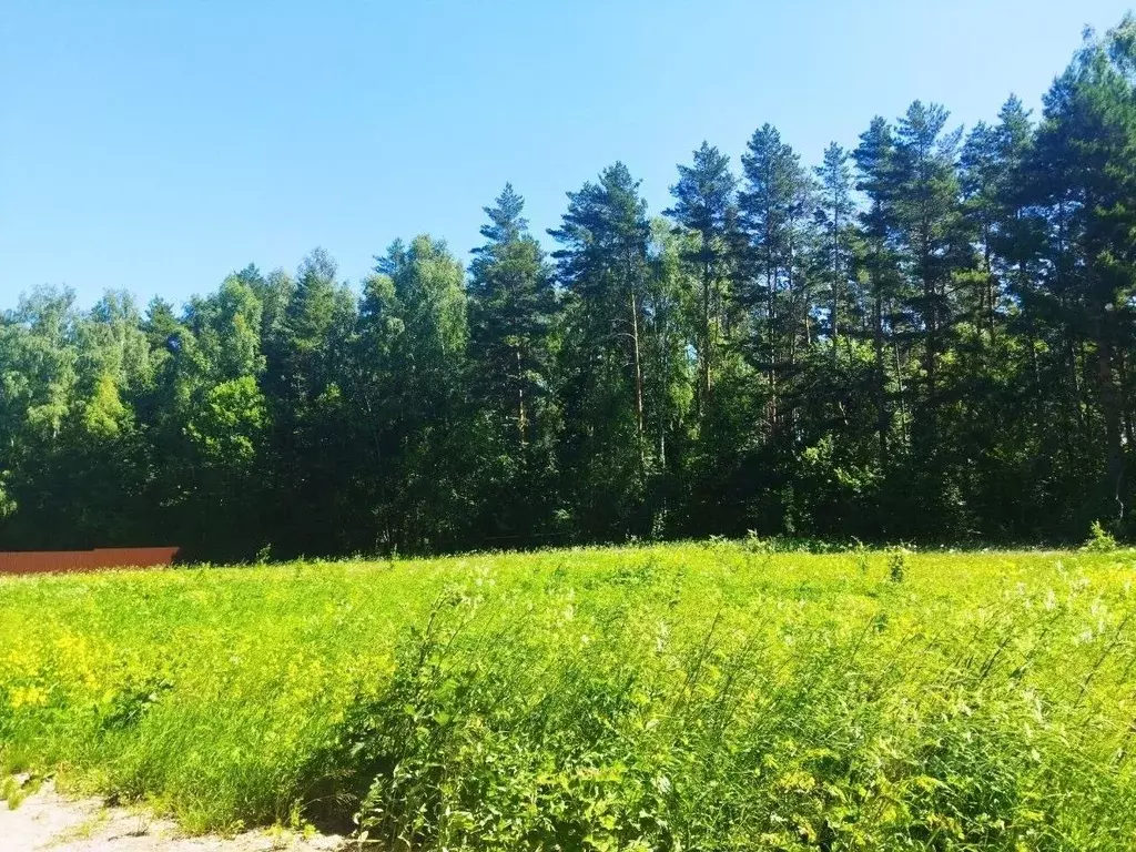 Участок в Тульская область, Ясногорский район, Иваньковское с/пос, ... - Фото 1
