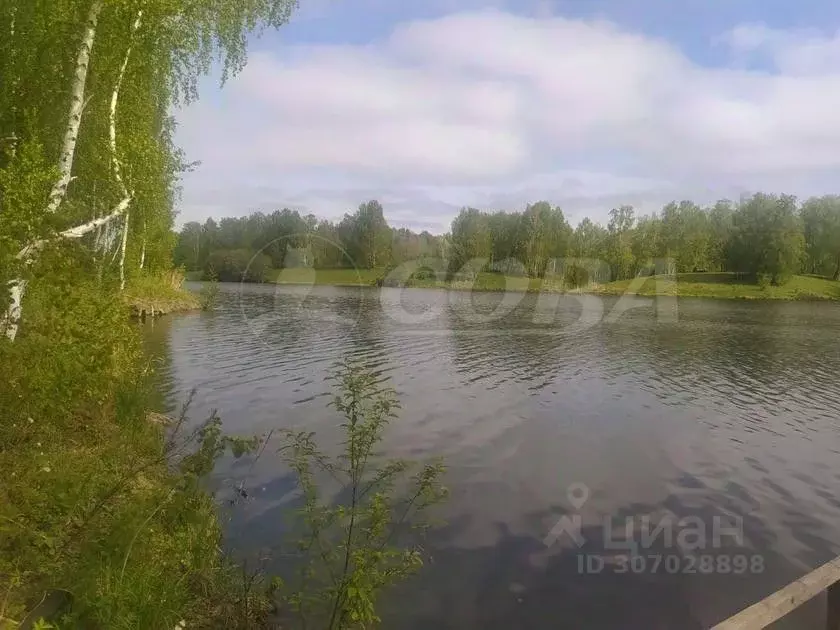 Участок в Тюменская область, Тюменский район, д. Малиновка, Малиновка ... - Фото 1