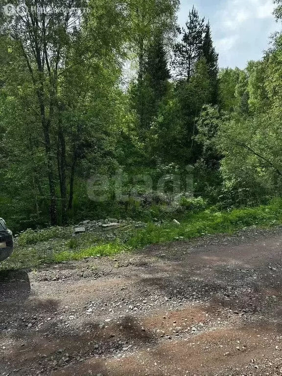 Участок в Артыбаш, Цветочная улица (25 м) - Фото 1