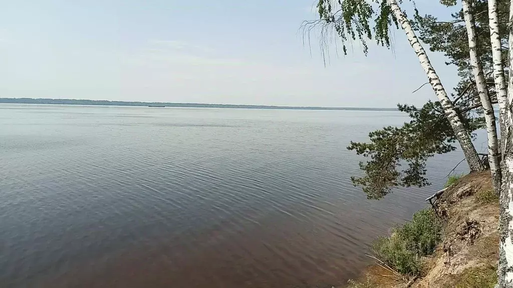 Участок в Нижегородская область, Сокольский городской округ, д. ... - Фото 0