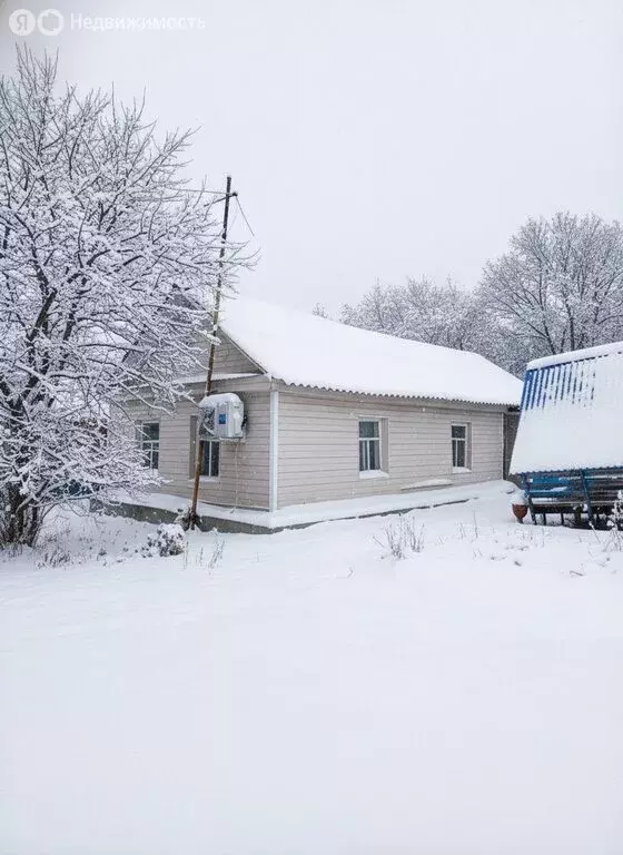 Дом в Оренбург, микрорайон Пугачи, улица Курчатова, 70 (43 м) - Фото 1