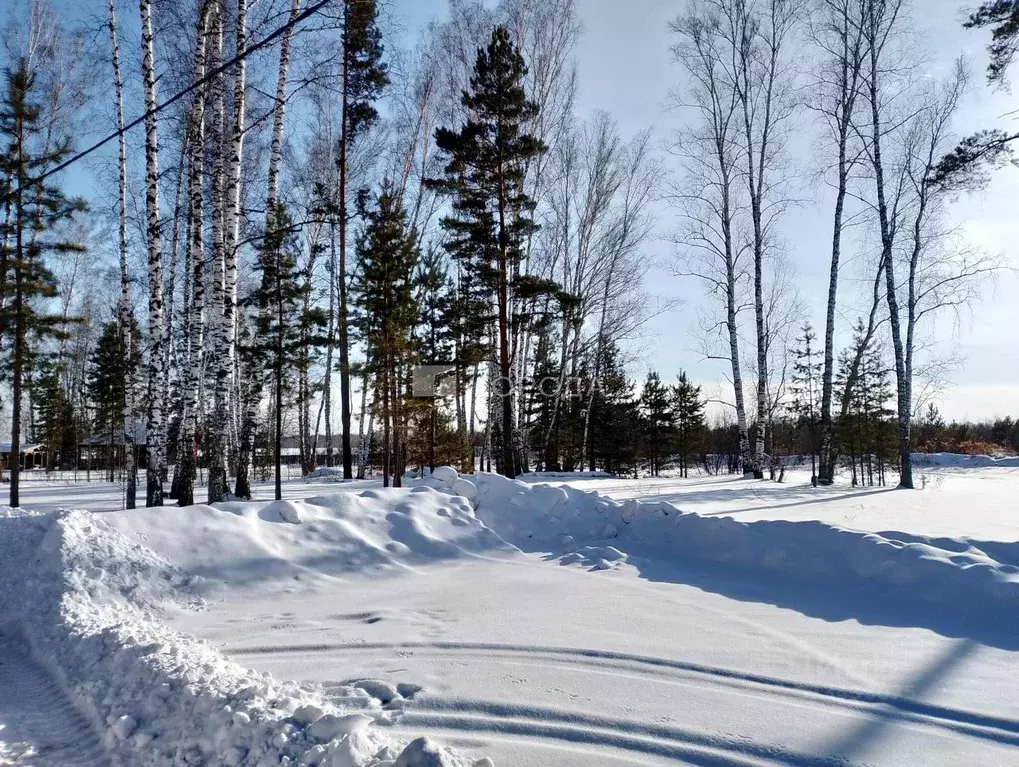 Участок в Новосибирская область, Новосибирский район, Кубовинский ... - Фото 1