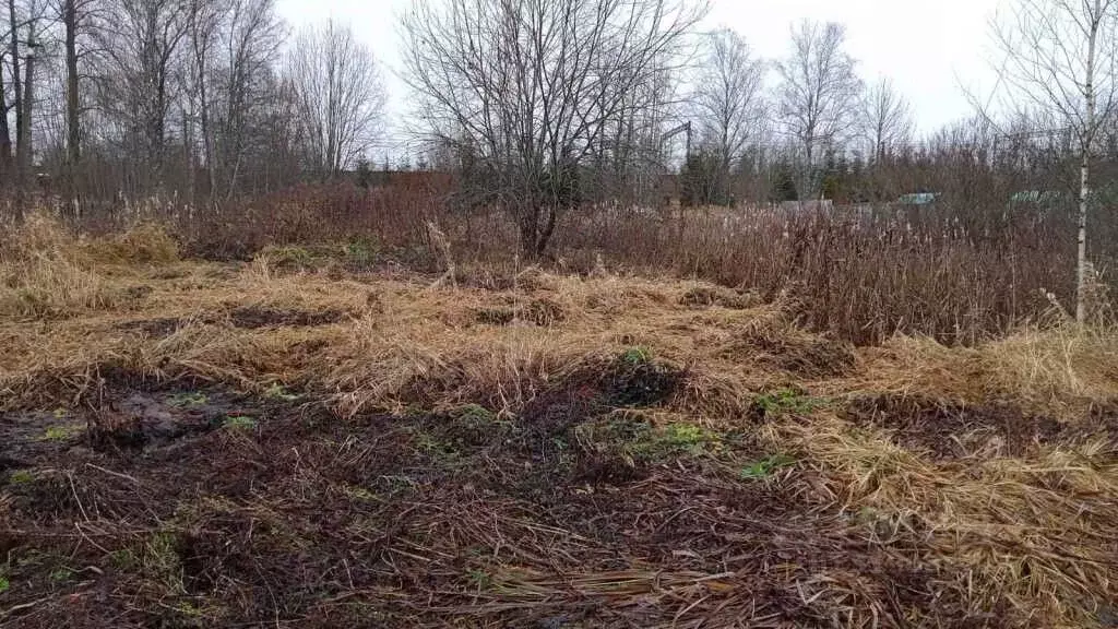 Участок в Новгородская область, Маловишерский район, Большевишерское ... - Фото 0