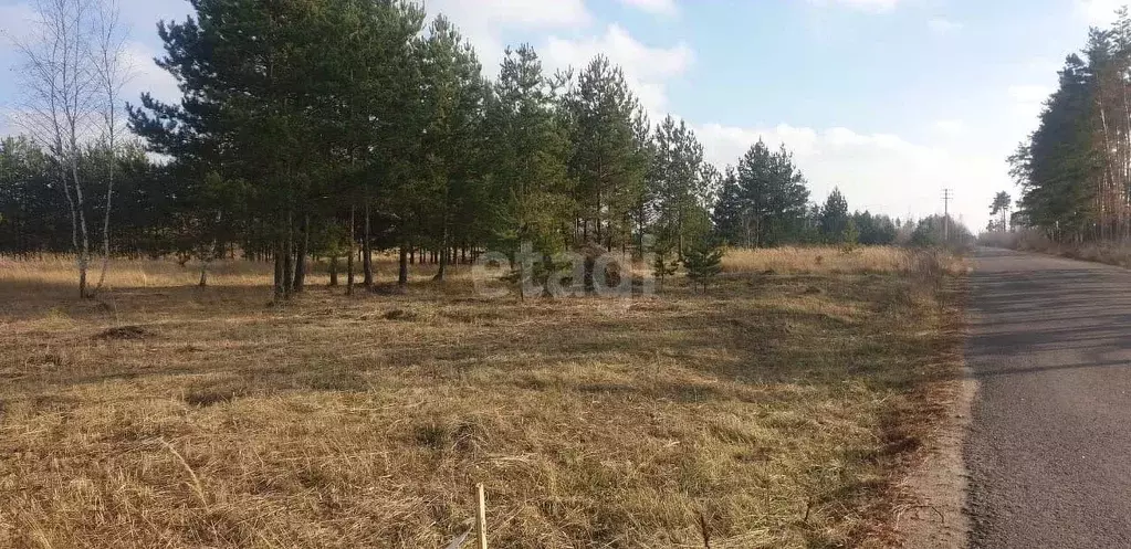 Участок в Воронежская область, Рамонский район, Новоживотинновское ... - Фото 1