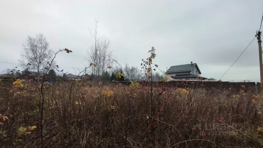 Участок в Московская область, Раменский муниципальный округ, д. ... - Фото 1