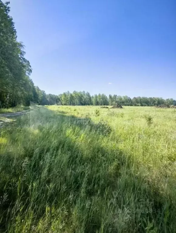 Участок в Тюменская область, Тюменский район, с. Успенка Молодежная ... - Фото 0