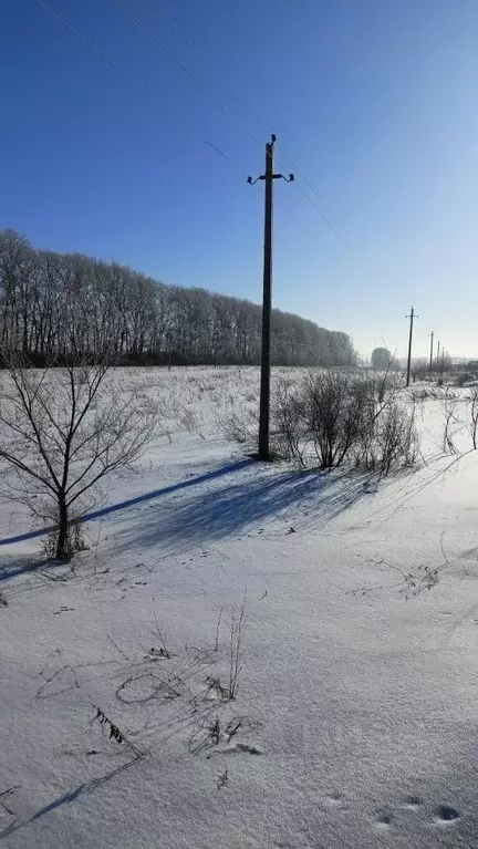 Участок в Башкортостан, Уфимский район, Булгаковский сельсовет, ... - Фото 1