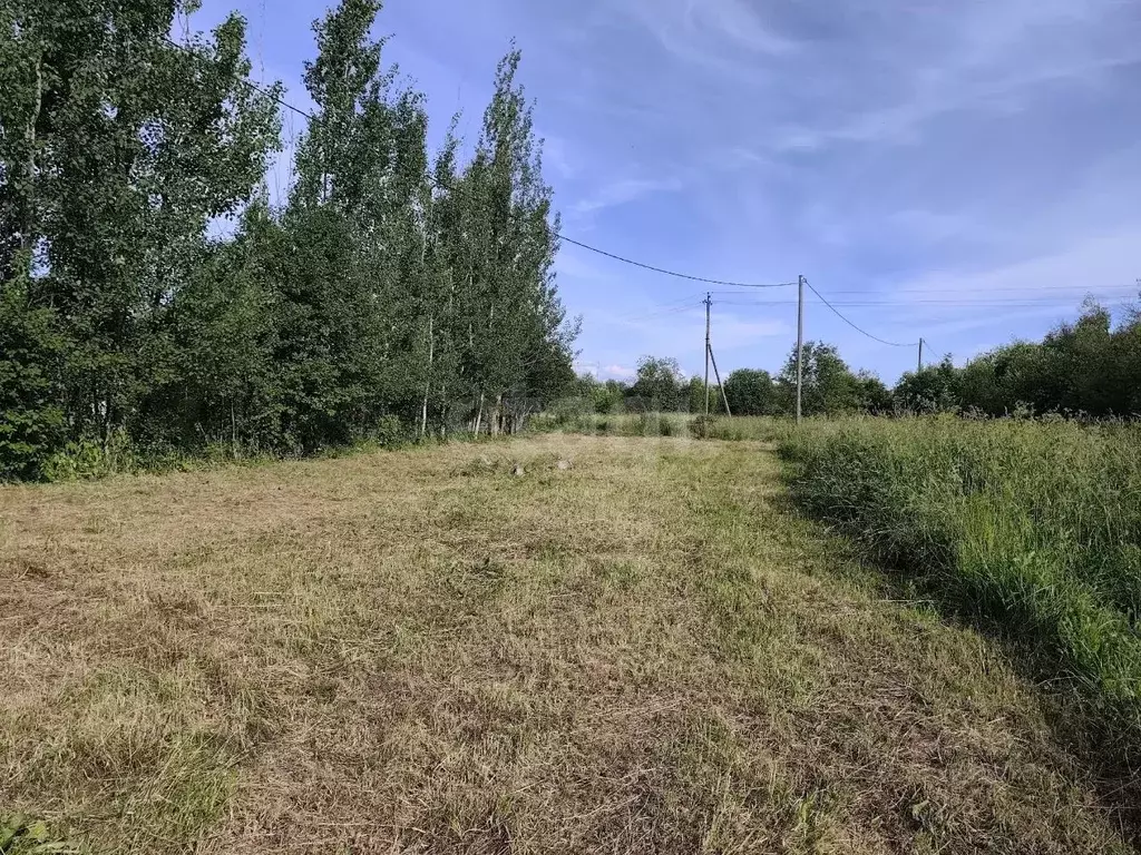Участок в Вологодская область, пос. Дубровское, д. Высочка 1 (7.0 ... - Фото 2