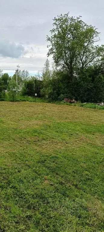 Участок в Ленинградская область, Тосненский район, Красный Бор пгт ул. ... - Фото 2