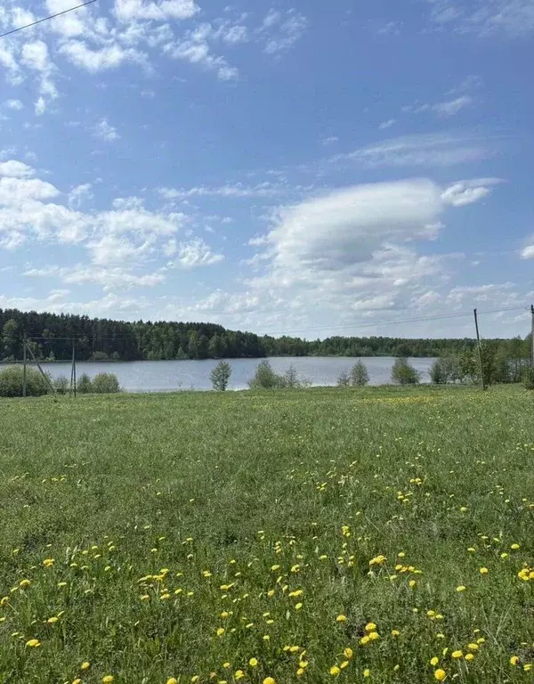 Участок в Московская область, Богородский городской округ, д. ... - Фото 2