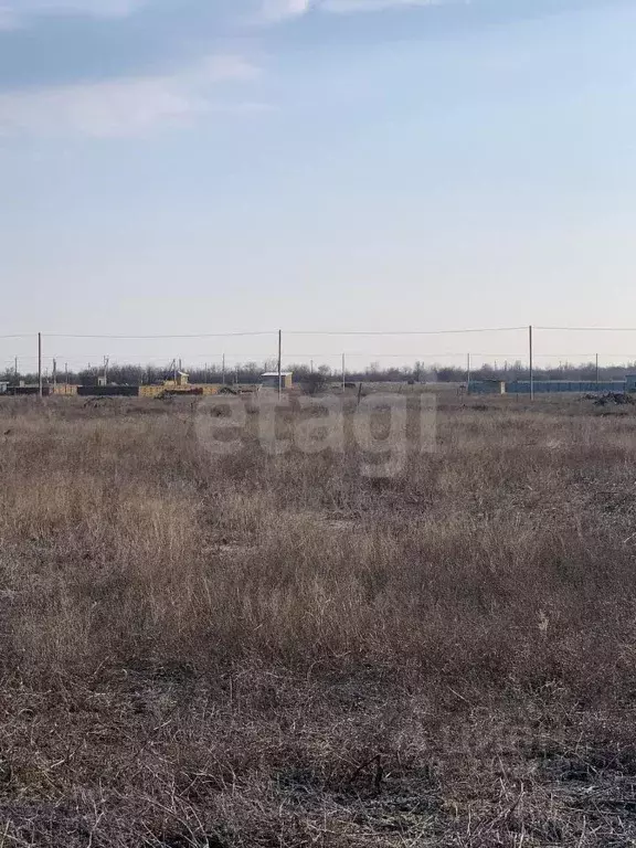 Участок в Крым, Раздольненский район, Славновское с/пос, Отдых СНТ  ... - Фото 1