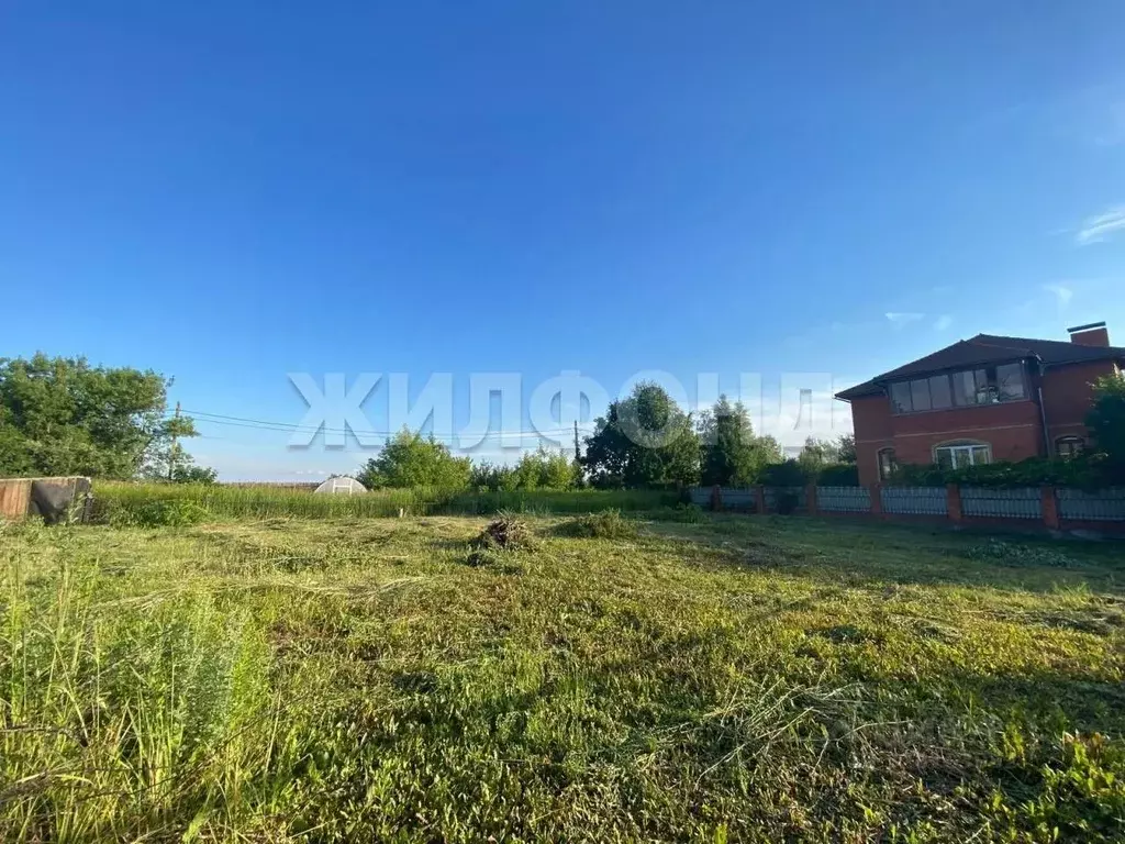 Участок в Брянская область, Брянский район, Супоневское с/пос, с. ... - Фото 2