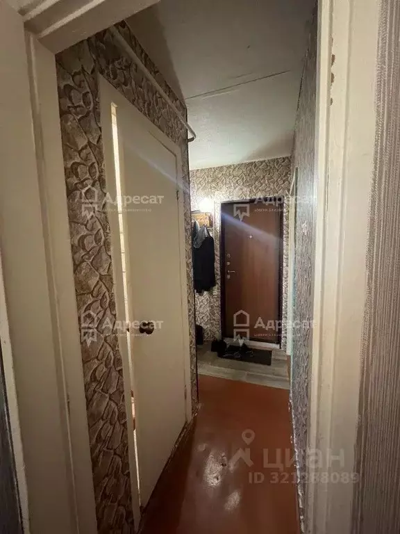 1-к кв. Волгоградская область, Волгоград ул. Кирова, 123 (29.8 м) - Фото 2