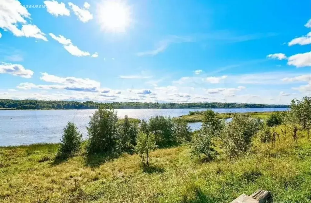 Участок в село Савинское, Зелёная улица (25 м) - Фото 1