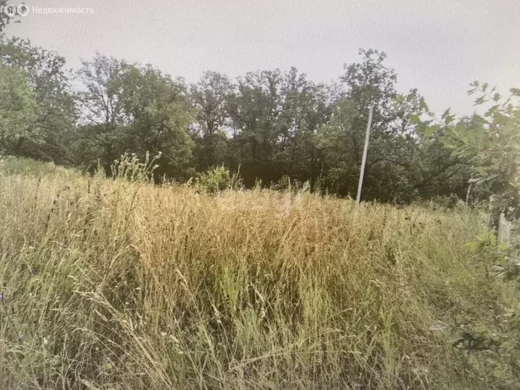 Участок в Большеключищенское сельское поселение, посёлок Ломы, улица ... - Фото 2