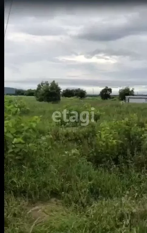 Участок в Сахалинская область, Анивский городской округ, с. ... - Фото 0