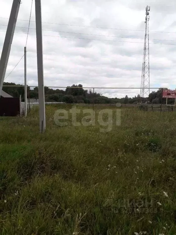 Участок в Новосибирская область, Колыванский район, с. Скала ул. ... - Фото 1