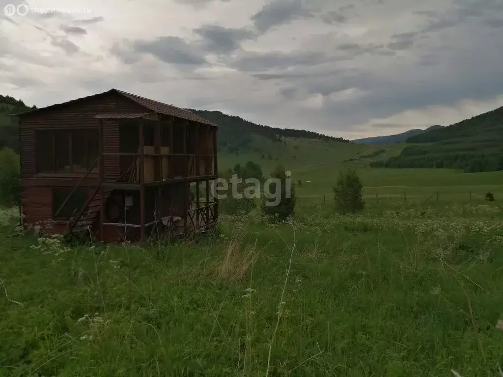 Участок в Алтайский район, село Ая (77 м) - Фото 0