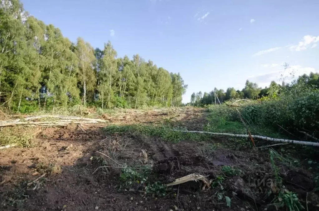 Участок в Тульская область, Тула городской округ, с. Фалдино  (9.5 ... - Фото 1
