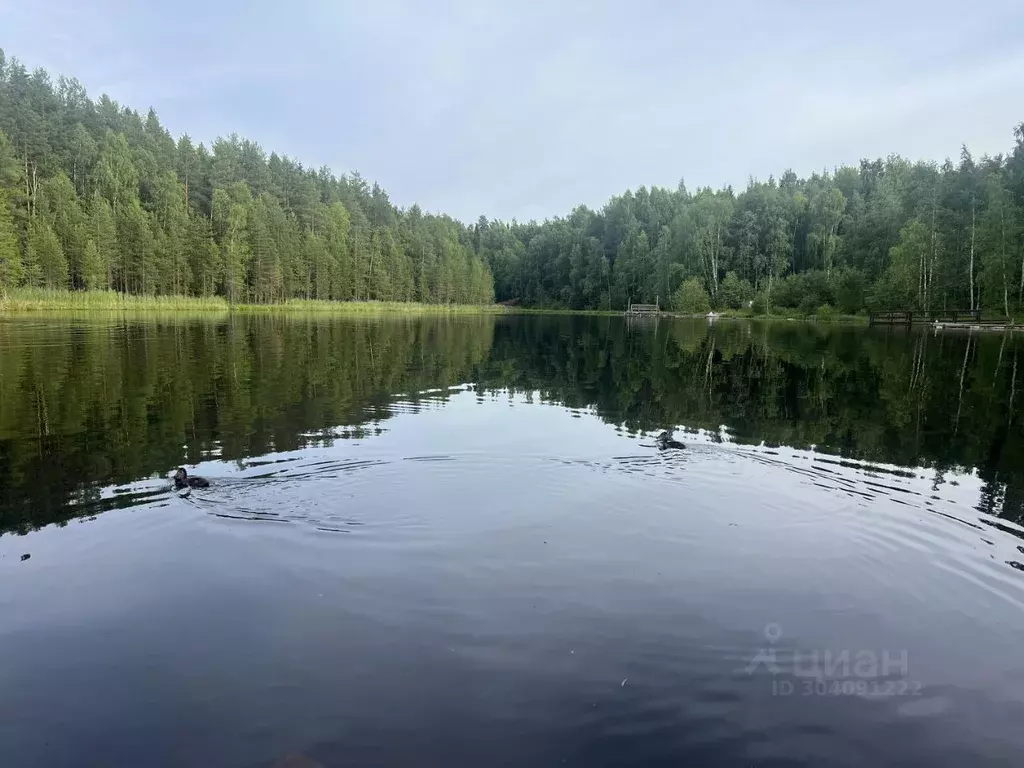 Дом в Карелия, Прионежский район, Деревянское с/пос, Эфир СНТ  (20 м) - Фото 0