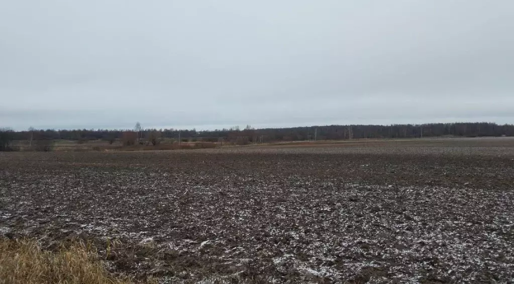 Участок в Московская область, Дмитровский муниципальный округ, д. ... - Фото 0