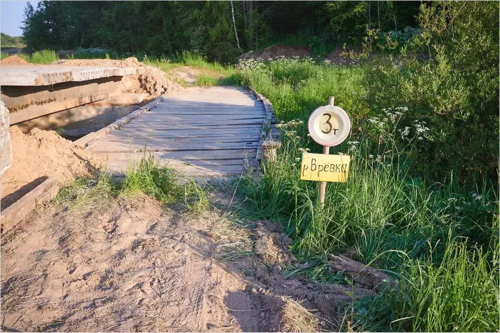 Участок в Псковская область, Островский район, д. Терегаево  (11200.0 ... - Фото 1