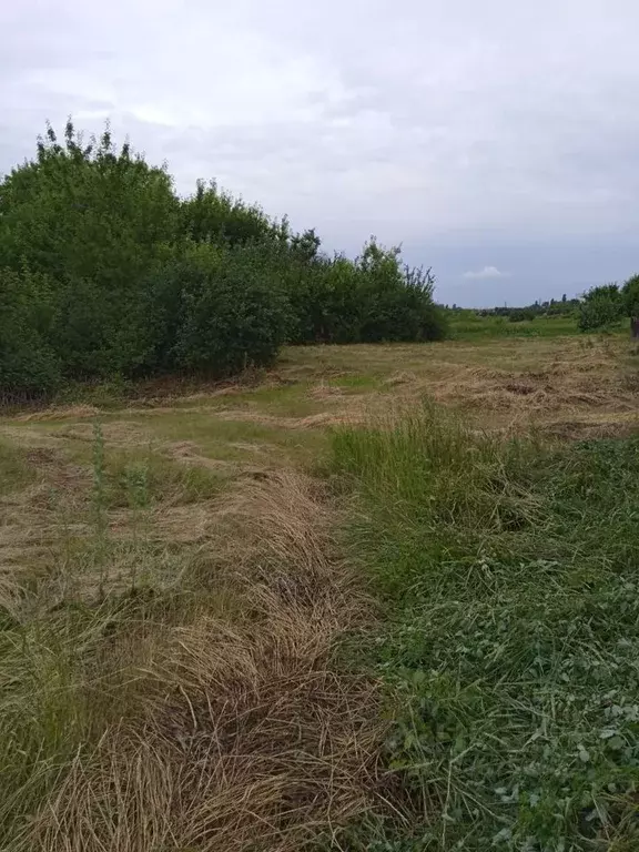 Участок в Воронежская область, Семилукский район, Латная рп ул. Ленина ... - Фото 0