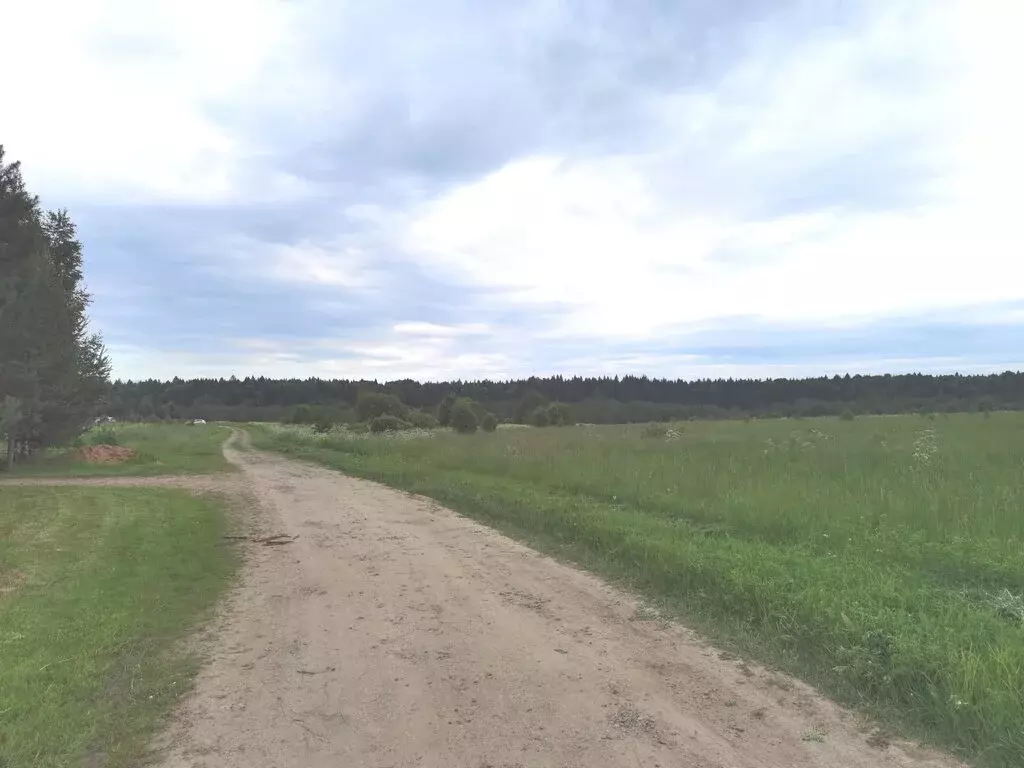 Участок в Вологодский муниципальный округ, деревня Семёновское ... - Фото 0