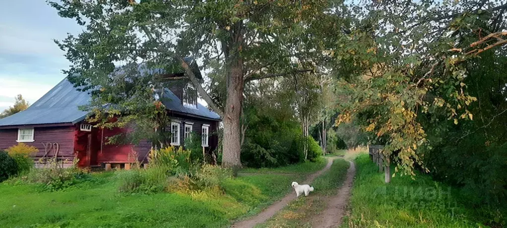 Дом в Новгородская область, Любытинское с/пос, д. Придорожная  (50 м) - Фото 2
