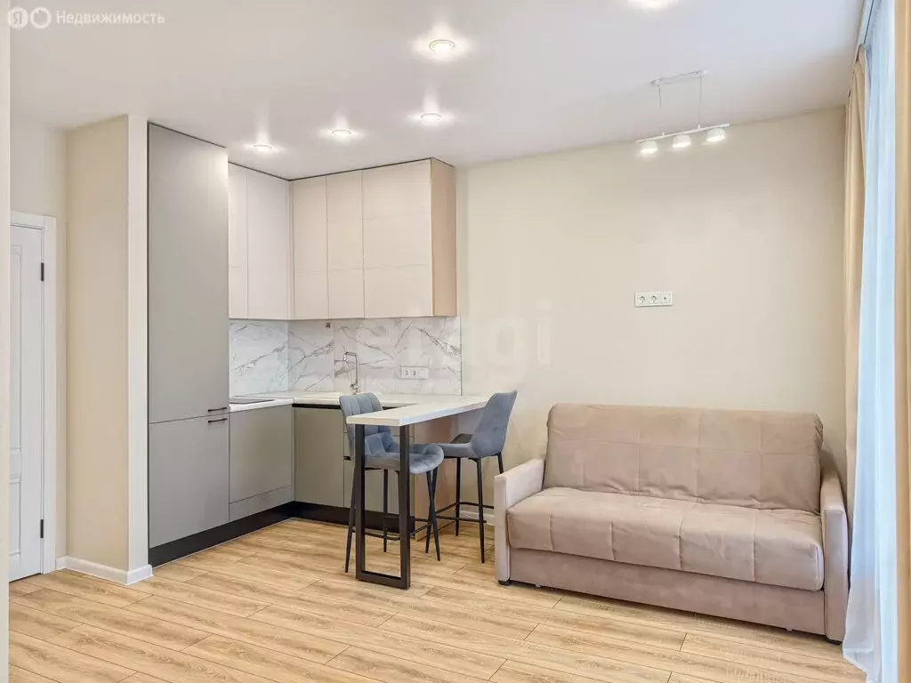 Квартира-студия: Тюмень, улица Фармана Салманова, 18 (29.1 м) - Фото 2