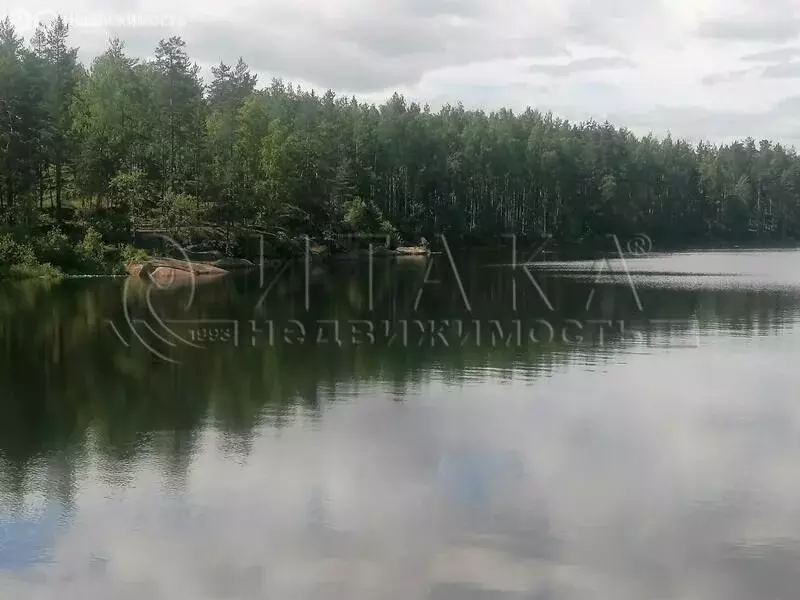 Участок в Приозерский район, Севастьяновское сельское поселение, ... - Фото 0