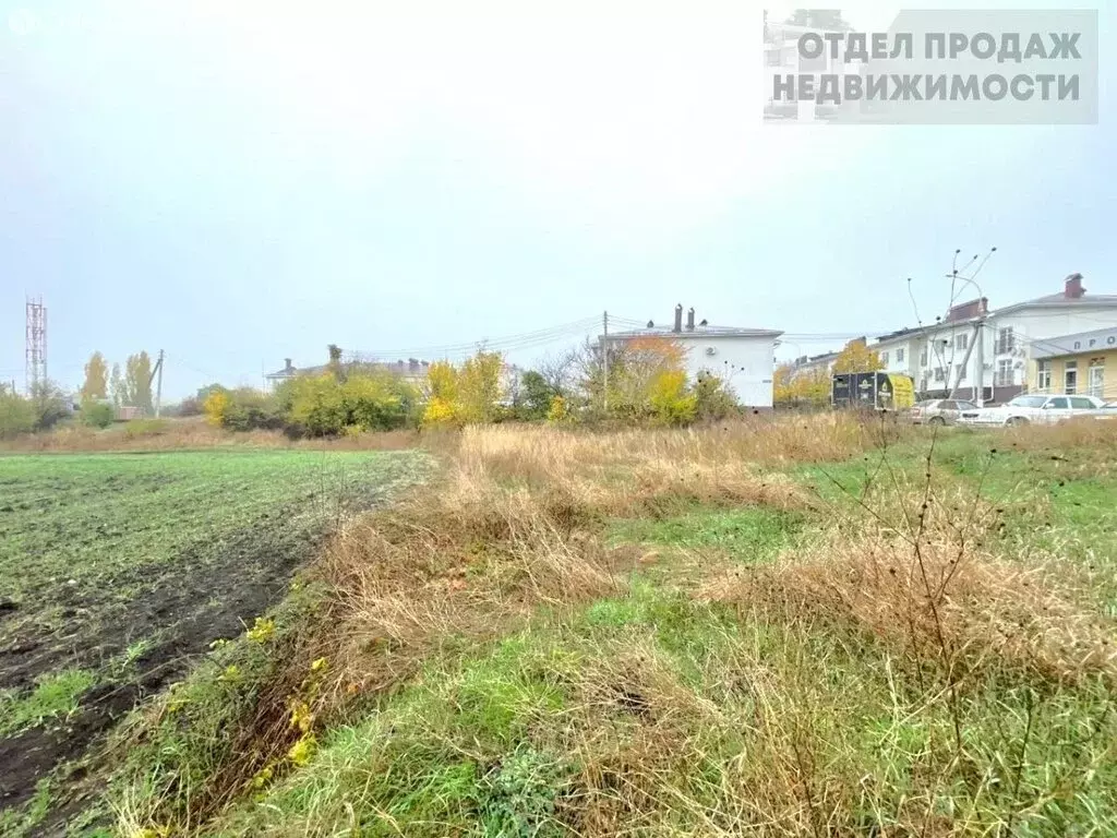 Участок в Крымский район, Крымское городское поселение, СДТ Озерки (20 ... - Фото 1