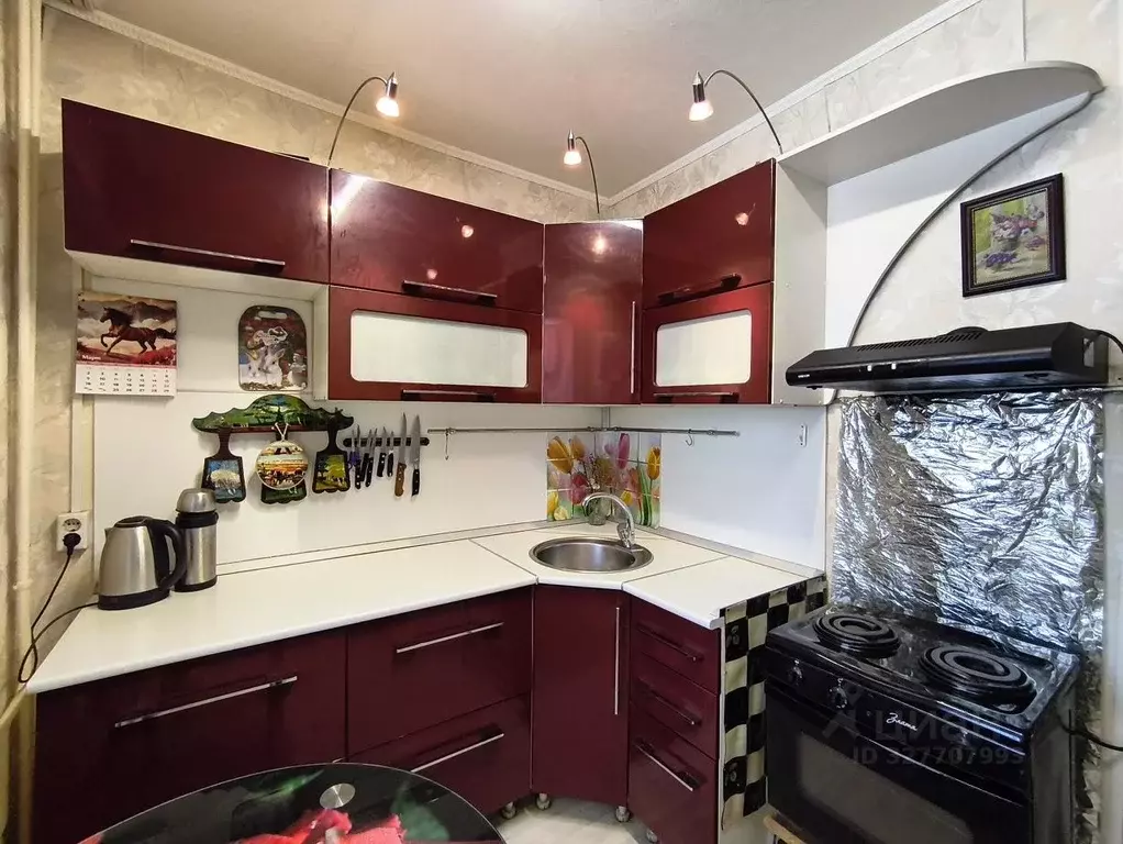 2-к кв. Алтайский край, Новоалтайск Песчаный пер., 68/2 (47.7 м) - Фото 1