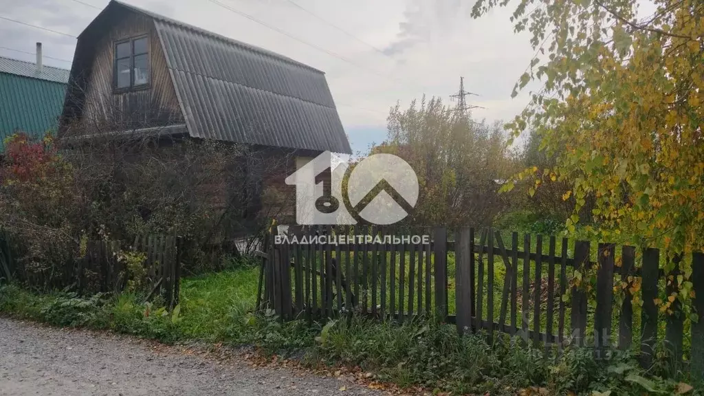 Участок в Новосибирская область, Новосибирск Лилия СНТ, 356 (5.41 ... - Фото 1