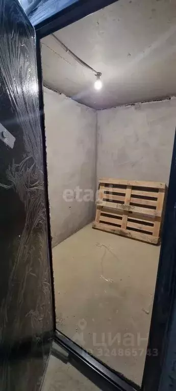 Помещение свободного назначения в Краснодарский край, Анапа ... - Фото 2